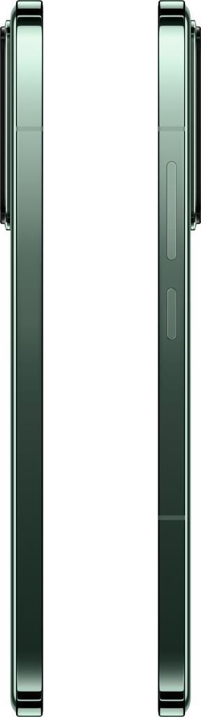 14 12/256 ГБ Зелёный